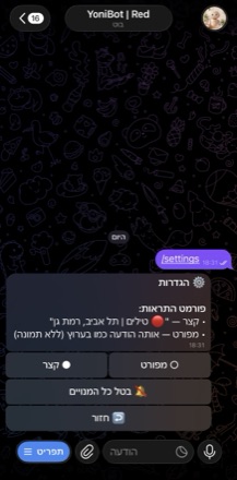 הגדרות הבוט